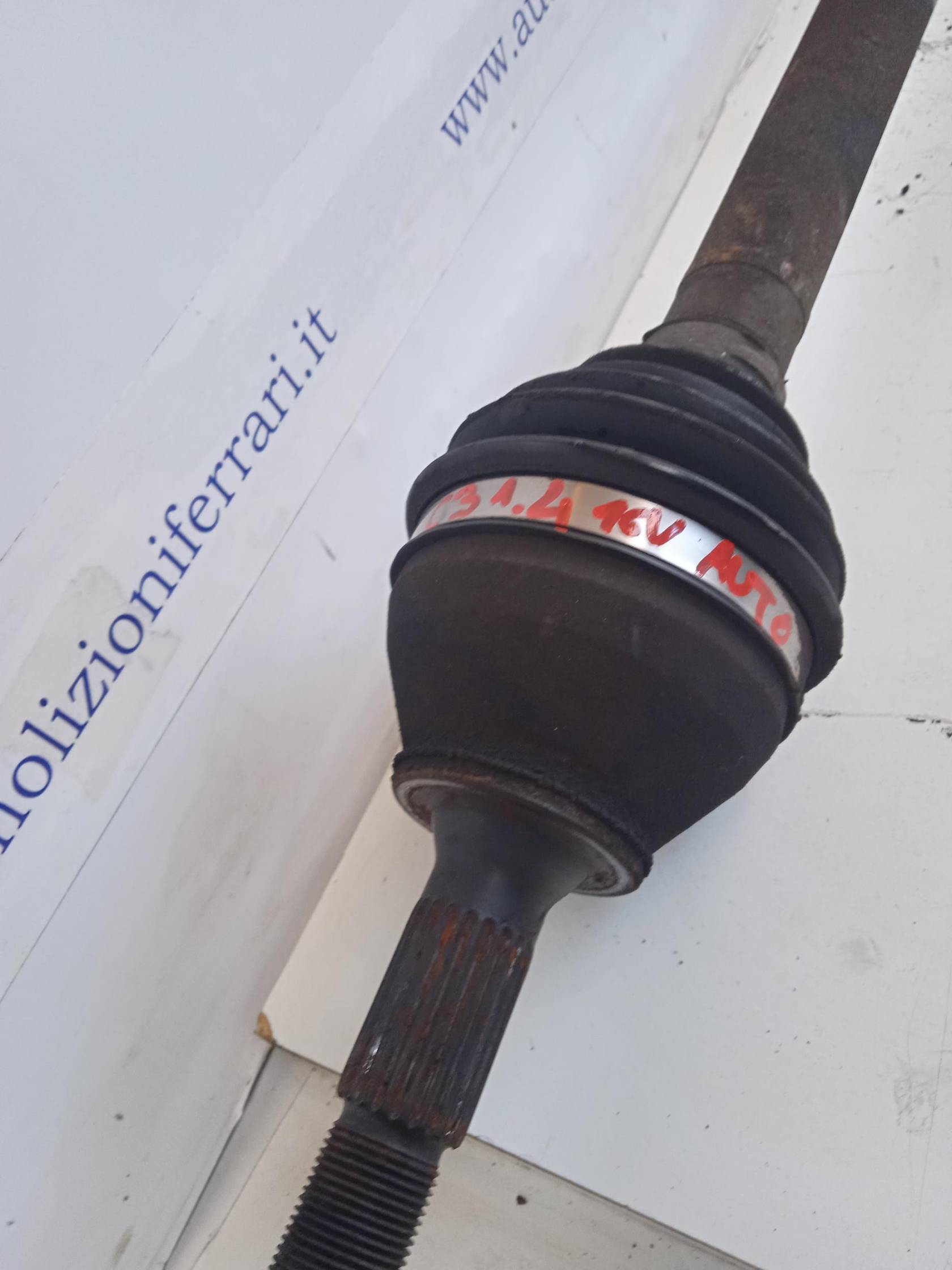 Semialbero ant. compl. dx.